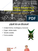 Introducción Al Estudio de La Biología Celular y