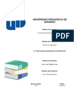 Teoría del Procesamiento de la Información UPD