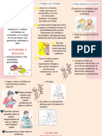 Vinculación Prenatal