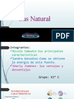 Gas Natural (1) (Autoguardado)