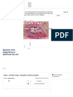 DNA - ESTRUTURA, FUNÇÃO E REPLICAÇÃO - PPT Video Online Carregar PDF