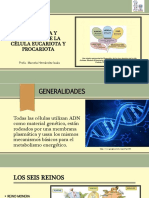 Estructura y Fisiologc3ada de La Cc3a9lula Eucariota y Procariota PDF