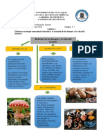 TAREA 1 - Micologia - Bastidas Zamora Jonathan - G3