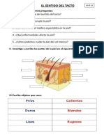 El Sentido Del Tacto