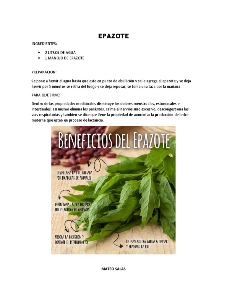 Beneficios y preparación del epazote | PDF | Cocina, comidas y vino ...