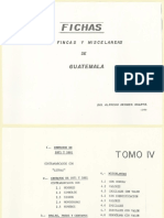Fichas 4 PDF