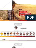 Estructura Procurement & Sustainability MAZ PDF