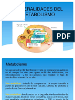 Generalidades Del Metabolismo