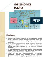 Metabolismo Del Glucógeno