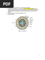 Laboratory Drawing Techniques | PDF