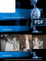 Planos anatómicos y posición para estudiar anatomía