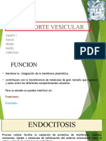 Transporte Vesicular