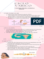 Ciclo Ovario 3