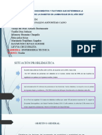 Factores Que Determinan El Incremento de Morbilidad