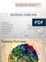 Sistema Nervioso Grupo 1