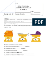 GUÍA EVALUADA Ciencias Naturales 20-04