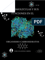 R.Macromoléculas-carbohidratos en Tu Organismo