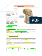 Resumen de Cuello