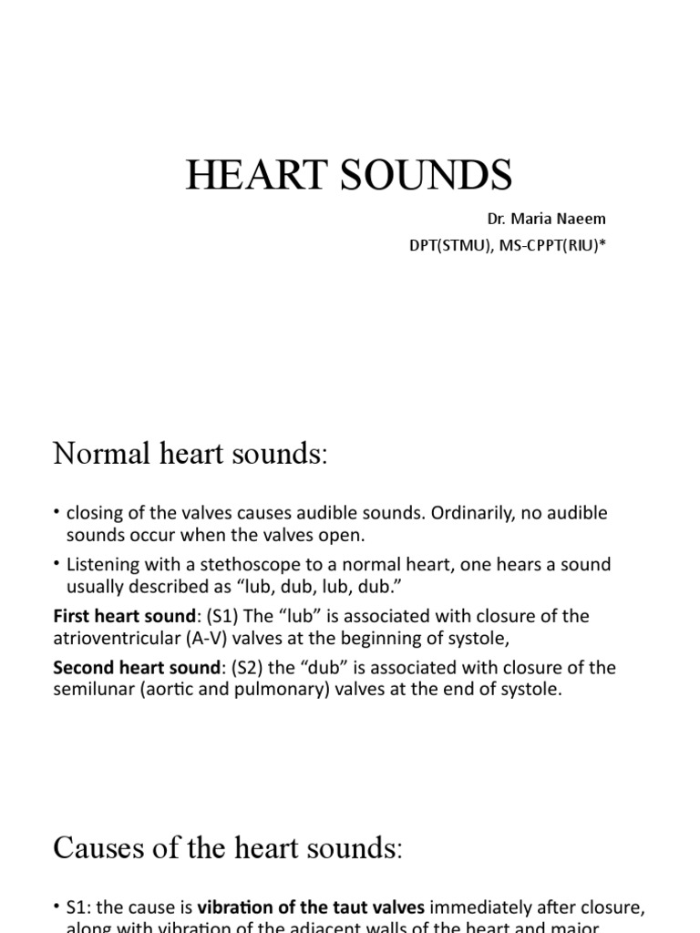 14 heart sounds download free pdf heart valve heart