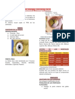 1.1 Anatomía y Fisiología Ocular - PDF
