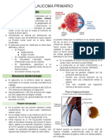 4.1 Glaucoma Primario PDF