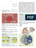 3.2 Patología Del Cristalino PDF