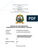 Informe de Pichanaqui y Sangani (Prupo 10) PDF