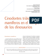 Cinodontes Triásicos y Mamíferos en El Tiempo de Los Dinosaurios (Artículo) Autor Agustín G Martinelli, Marina B Soares y Analía M Forasiepi