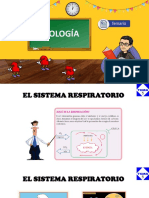 Tema 5 - El Sistema Respiratorio