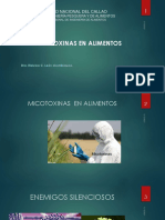 Capitulo 6 .Micotoxinas en Alimentos 2021 - 1 PDF