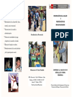 Prevención y Promoción de La Salud PDF