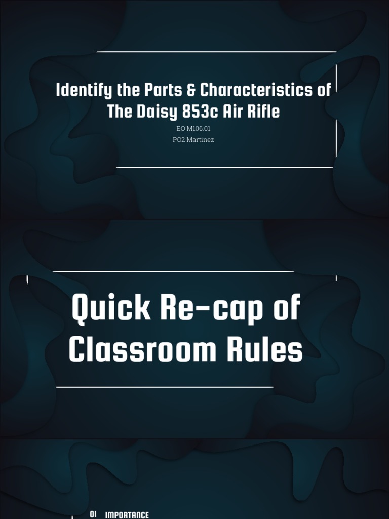 Identify Parts of A Daisy Air Rif | PDF | Rifle | Caliber