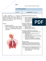 Cambios en El Sistema Respiratorio