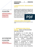 Disposiciones y principios generales de filiación