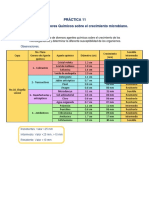 Reporte Practica 11 - Efecto de Los Agentes Químicos