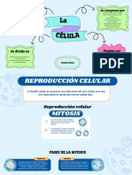 La Célula y Reproducción Celular
