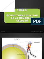 Tema 5. Membrana Celular