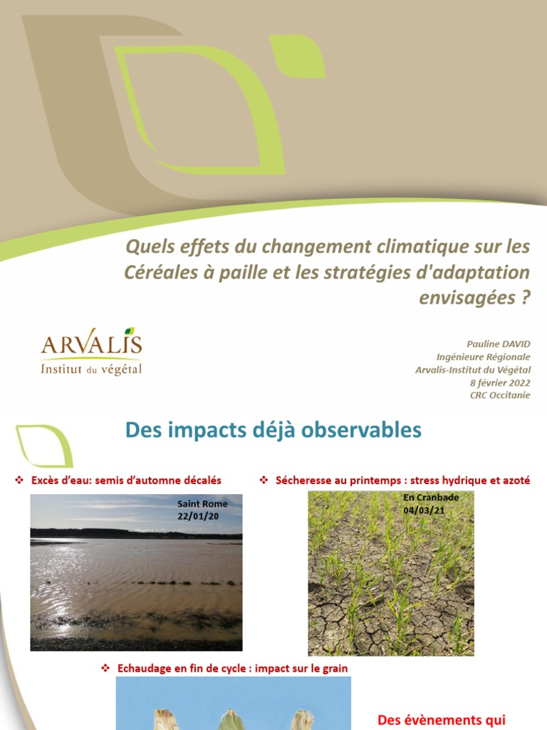 04 PPT ArvalisRrgc 220208 Occ PDF Irrigation Agronomie