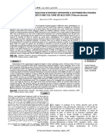 OPTIMISATION DE L’IRRIGATION D’APPOINT APPORTEE A DIFFERENTES PHASES PHENOLOGIQUES D’UNE CULTURE DE BLE DUR (Triticum durum)