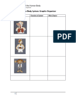 Human Body Systems Graphic Organizer