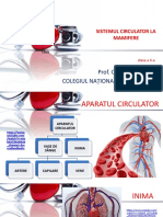 Prof. Cristina BAUMAN Colegiul Național Decebal Deva: Sistemul Circulator La Mamifere