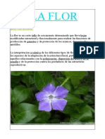 La Carpeta de La Flor