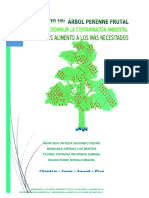 Arbol Perenne Frutal Libro