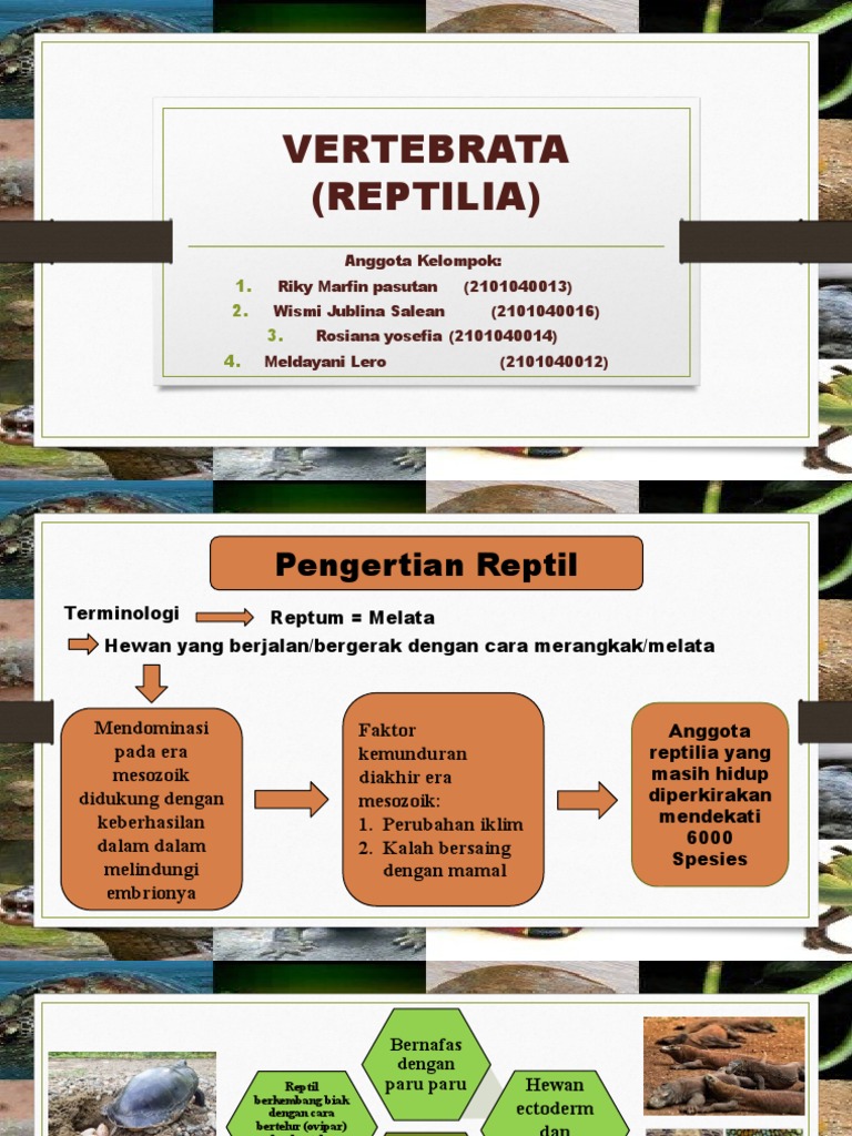 VERTEBRATA (Reptil) 4 | PDF