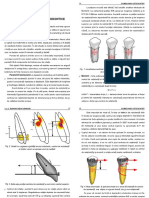 Biomecanica Orto Cap - 2 - K