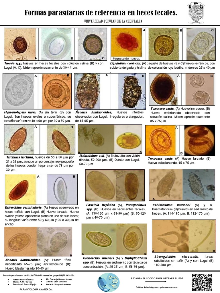 atlas-parasitologia-pdf