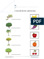 Grade 2 Plant Food C PDF