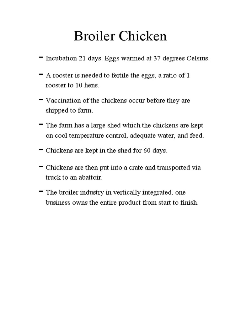 Broiler Chicken PDF