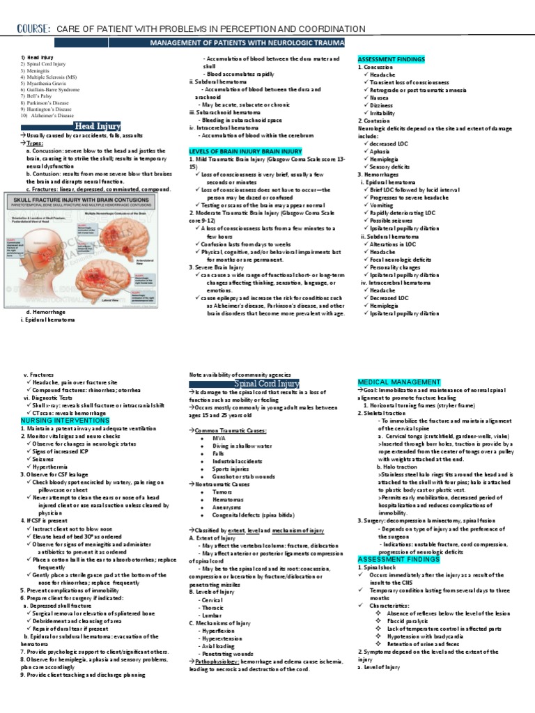 Nervous System Disorders PPT 3 1 | PDF | Traumatic Brain Injury ...