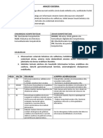 Aztarnategia-Arazo Egoera LH 1-Zikloa PDF